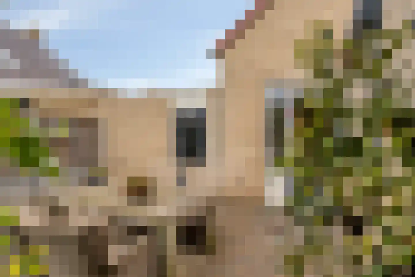 Standerdmolen 38 Herten thumbnail 35