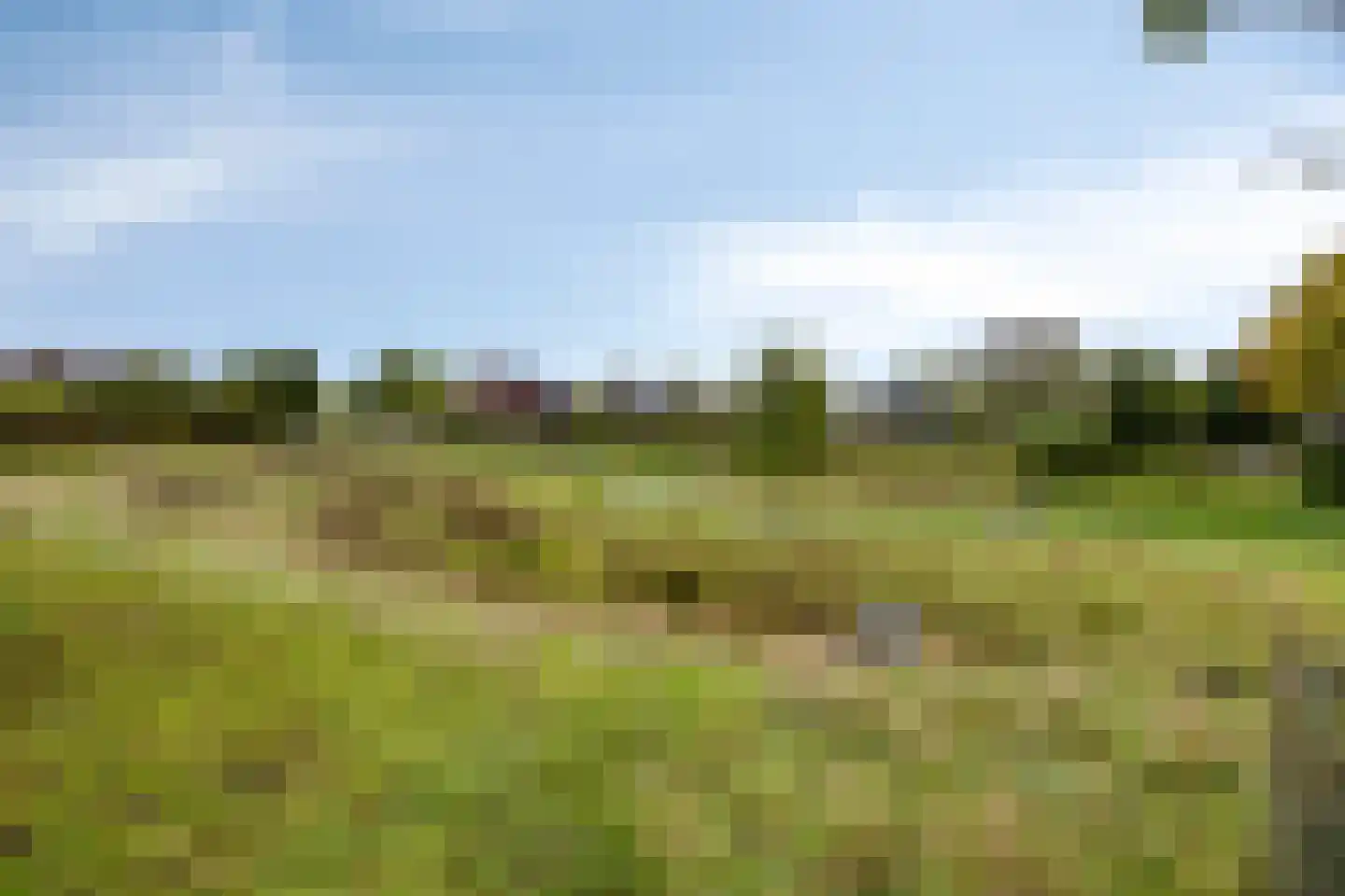 Standerdmolen 38 Herten thumbnail 42