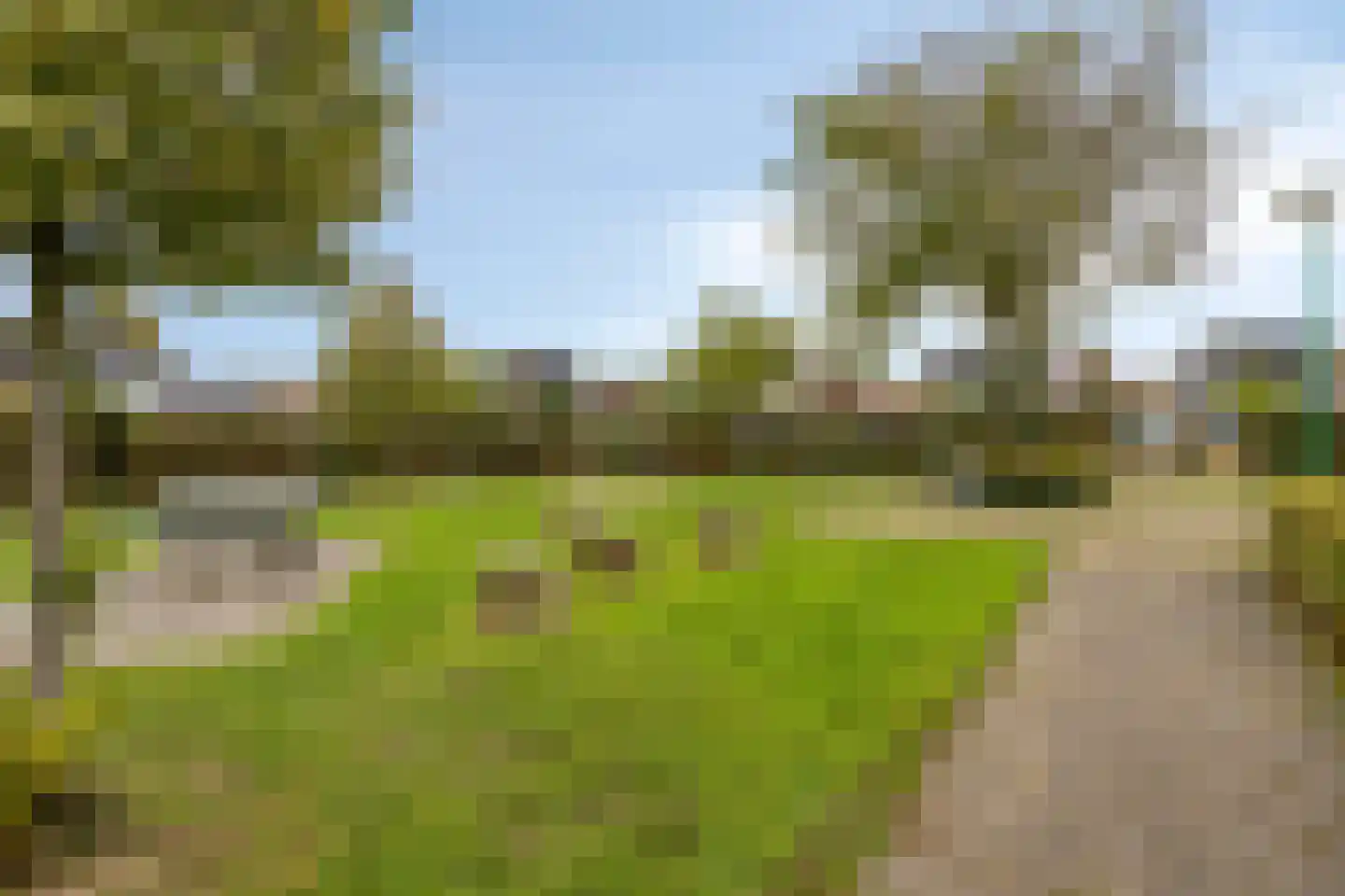 Standerdmolen 38 Herten thumbnail 45