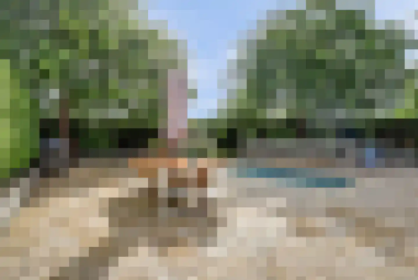 Standerdmolen 5 Vianen thumbnail 36