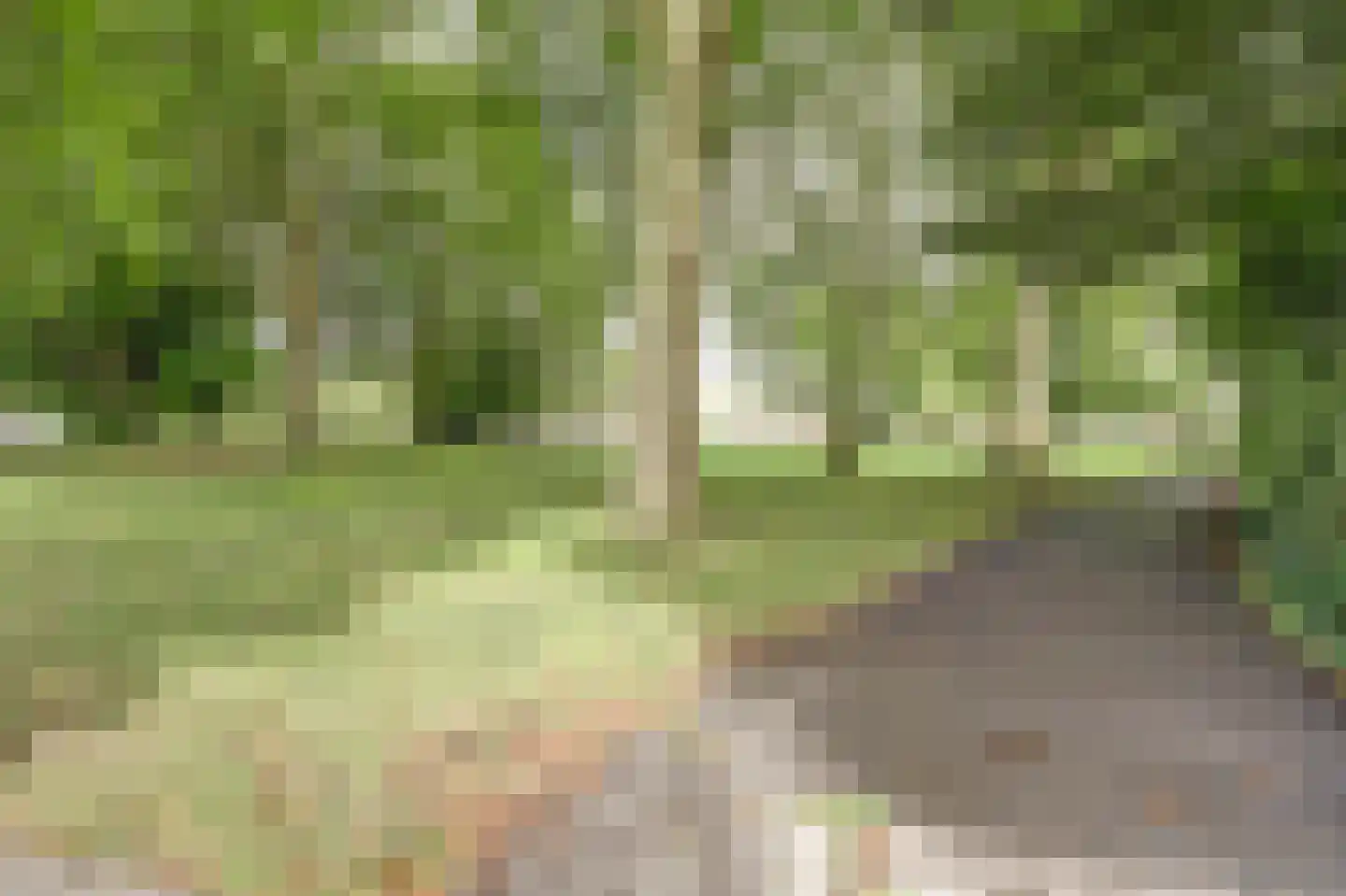 Standerdmolen 5 Vianen thumbnail 44