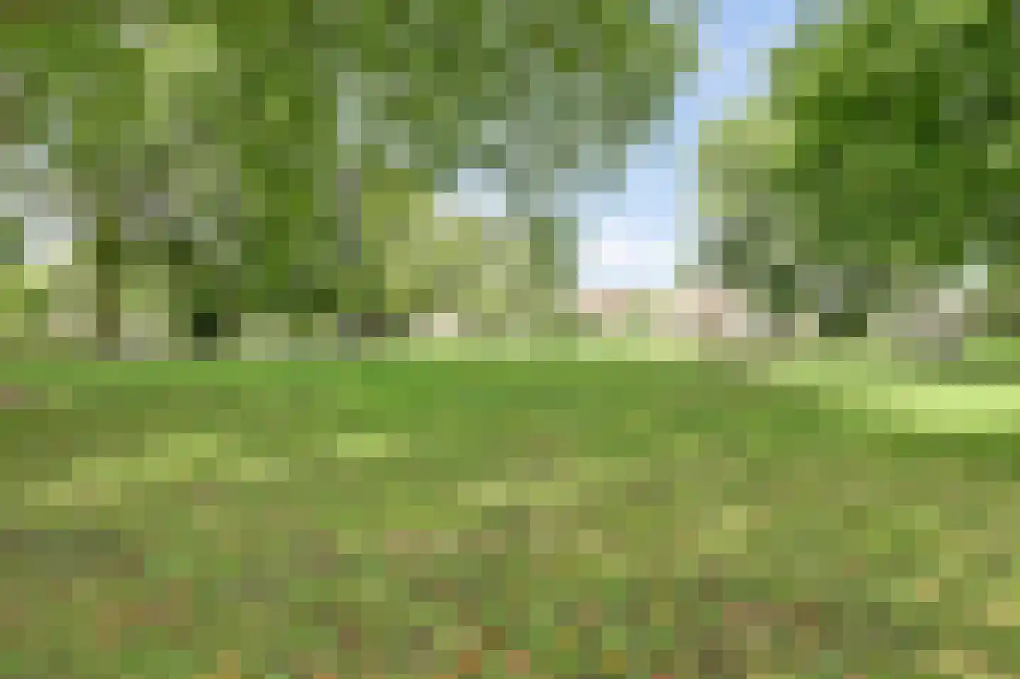 Standerdmolen 5 Vianen thumbnail 45