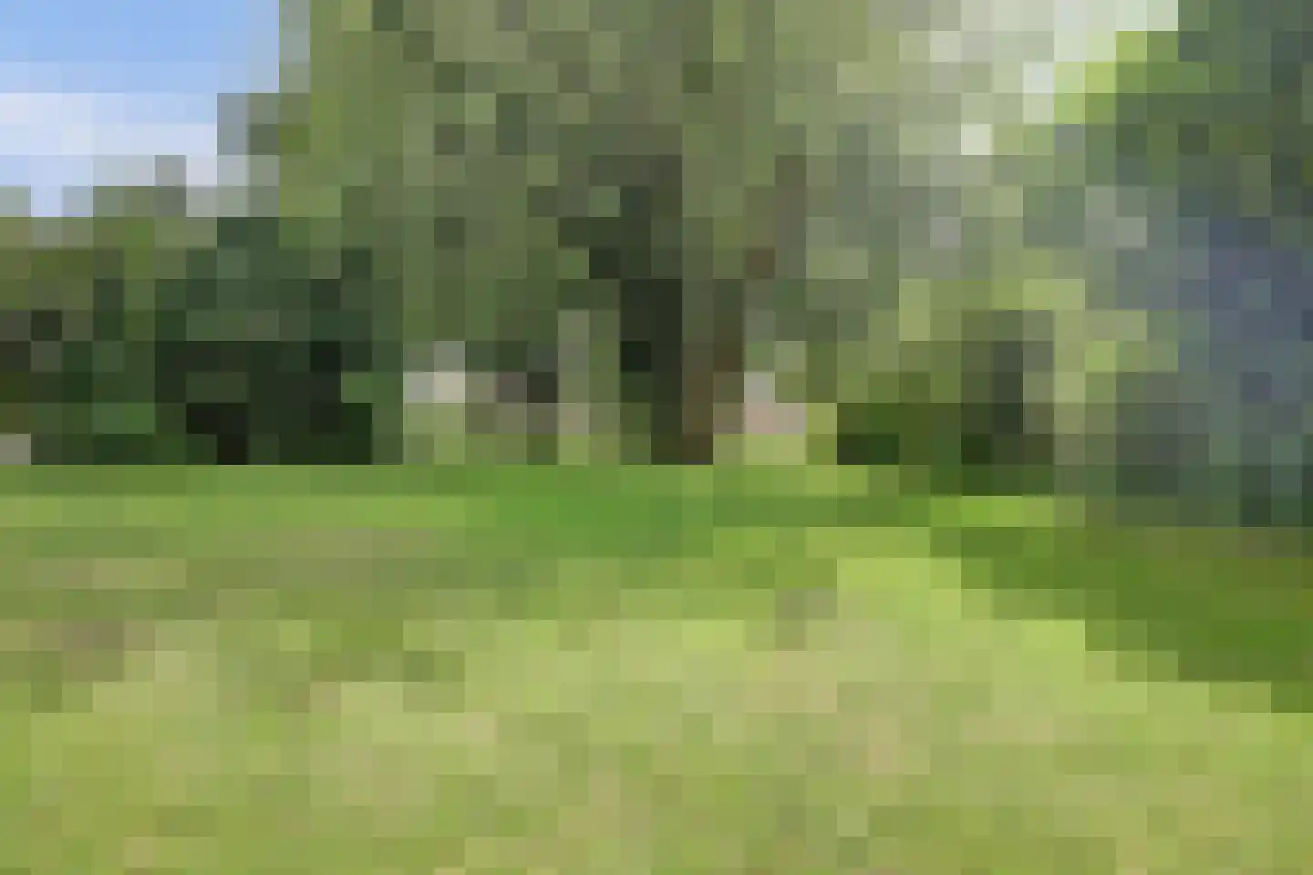 Standerdmolen 5 Vianen thumbnail 46