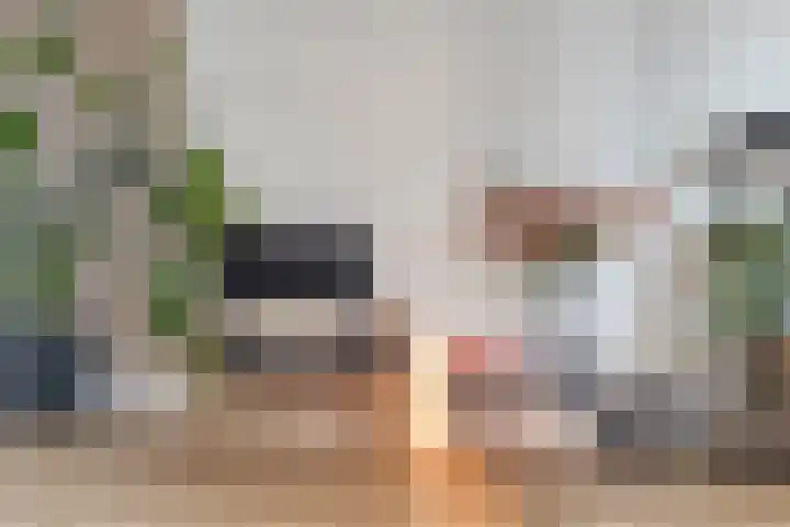 Standerdmolen 50 Herten thumbnail 10