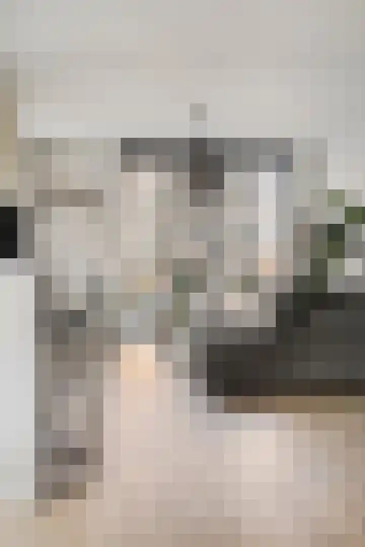 Standerdmolen 50 Herten thumbnail 12
