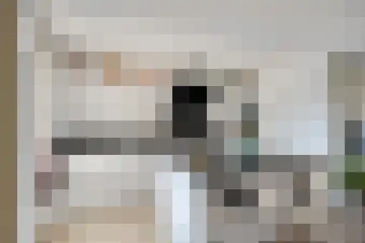 Standerdmolen 50 Herten thumbnail 17