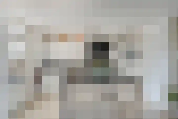 Standerdmolen 50 Herten thumbnail 18