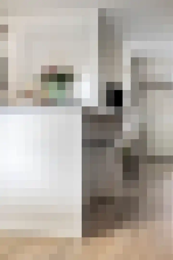Standerdmolen 50 Herten thumbnail 20