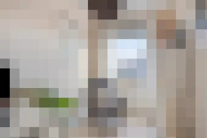 Standerdmolen 50 Herten thumbnail 31