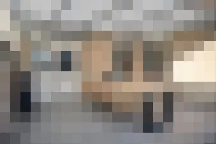 Standerdmolen 50 Herten thumbnail 33