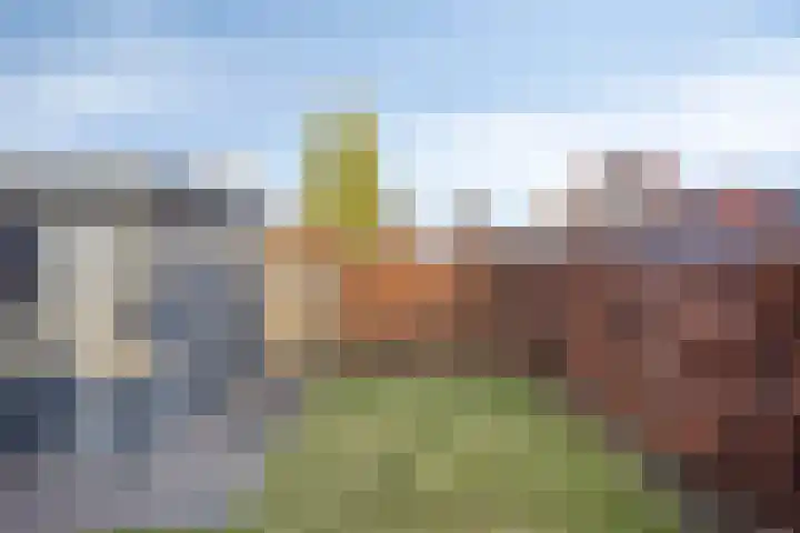 Standerdmolen 50 Herten thumbnail 36
