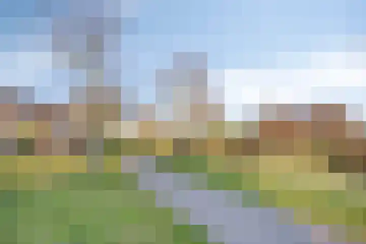 Standerdmolen 50 Herten thumbnail 40