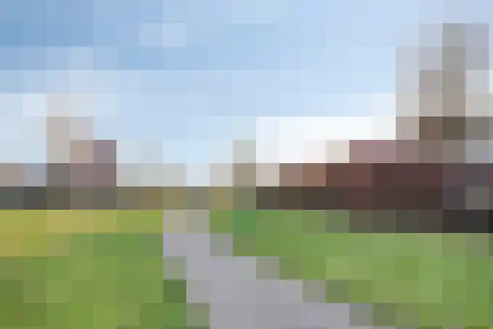 Standerdmolen 50 Herten thumbnail 41