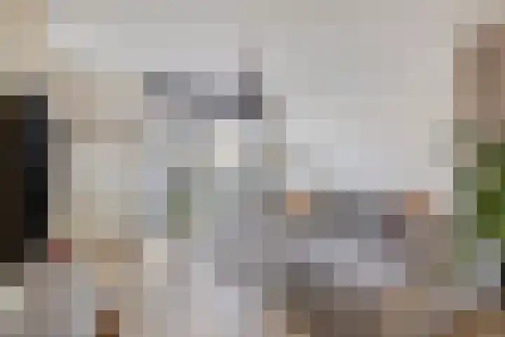 Standerdmolen 50 Herten thumbnail 8