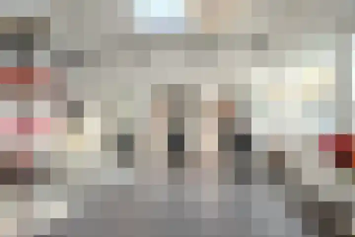 Standerdmolen 59 A Herten thumbnail 15