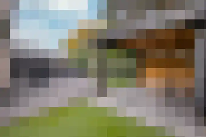 Standerdmolen 59 A Herten thumbnail 26