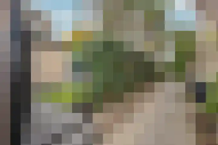 Standerdmolen 59 A Herten thumbnail 29