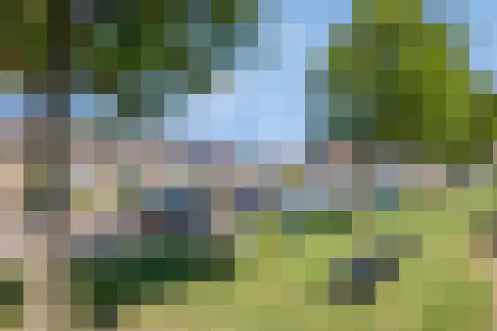 Standerdmolen 59 Barendrecht thumbnail 32