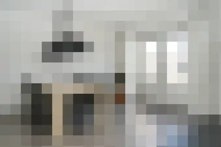 Standerdmolen 6 Boven-Leeuwen thumbnail 12