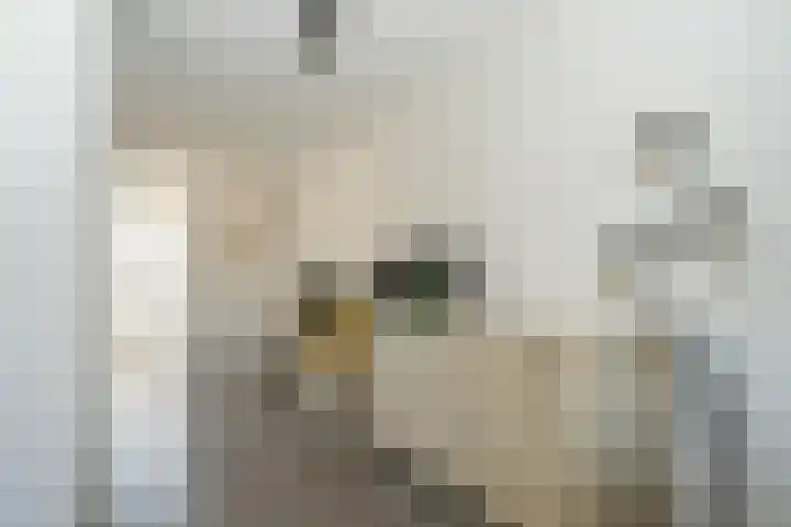 Standerdmolen 6 Boven-Leeuwen thumbnail 15