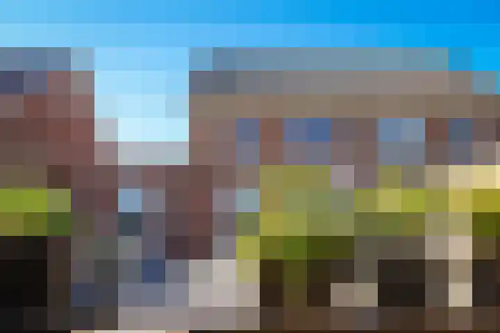 Standerdmolen 6 Boven-Leeuwen thumbnail 27