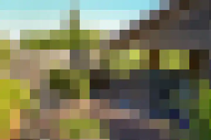 Standerdmolen 6 Boven-Leeuwen thumbnail 30
