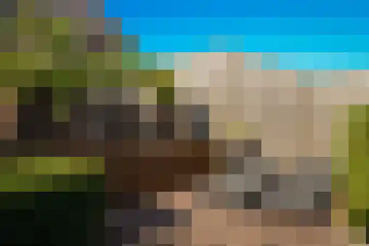 Standerdmolen 6 Boven-Leeuwen thumbnail 31