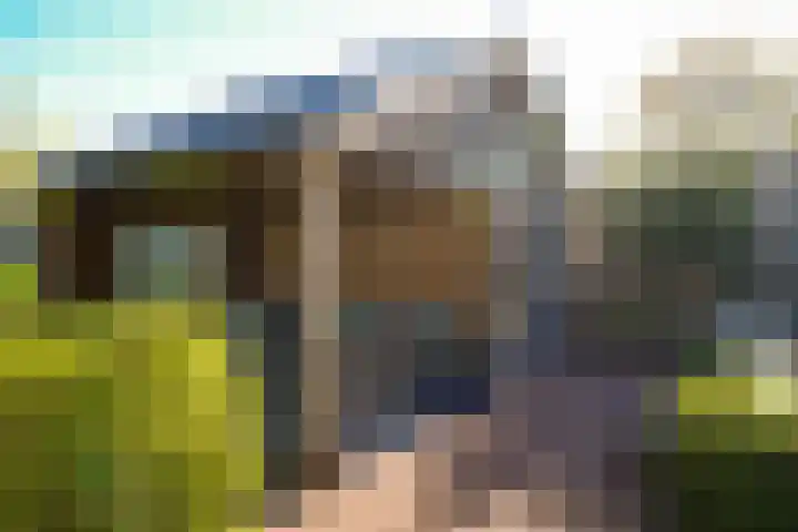 Standerdmolen 6 Boven-Leeuwen thumbnail 32