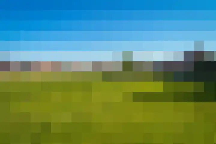 Standerdmolen 6 Boven-Leeuwen thumbnail 35