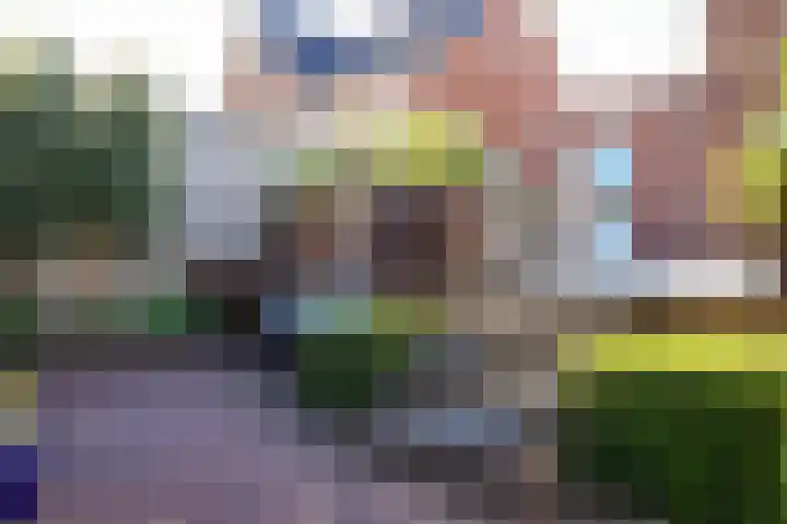 Standerdmolen 6 Boven-Leeuwen thumbnail 36