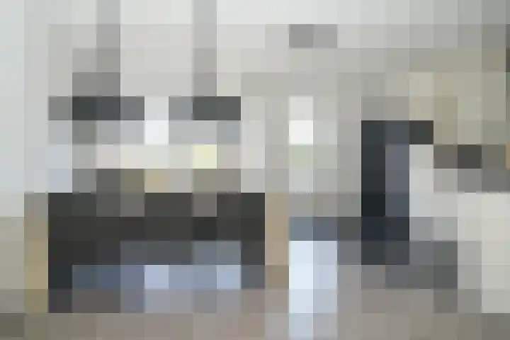 Standerdmolen 6 Boven-Leeuwen thumbnail 4