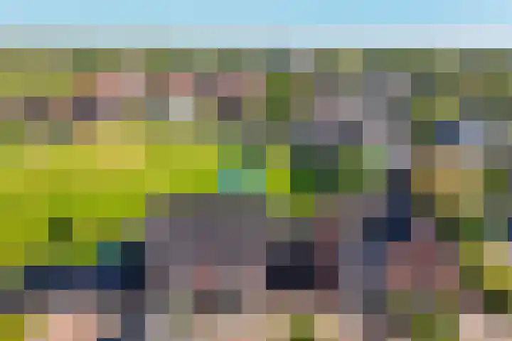 Standerdmolen 6 Boven-Leeuwen thumbnail 42