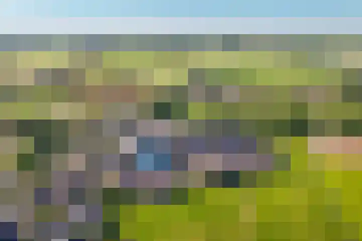 Standerdmolen 6 Boven-Leeuwen thumbnail 44