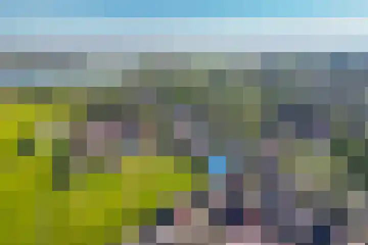 Standerdmolen 6 Boven-Leeuwen thumbnail 45