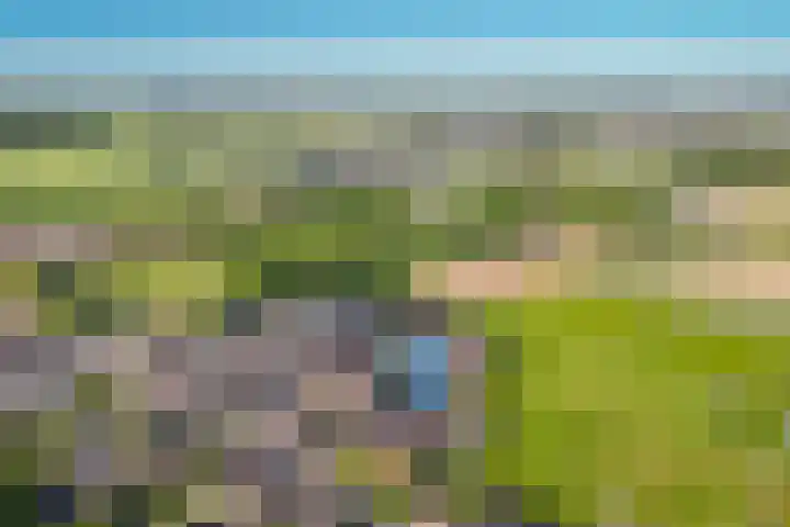 Standerdmolen 6 Boven-Leeuwen thumbnail 46