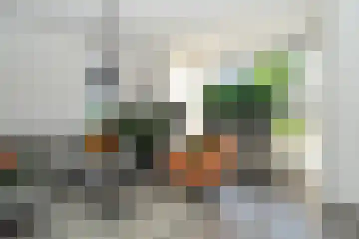 Standerdmolen 6 Boven-Leeuwen thumbnail 6