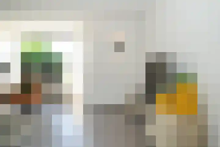 Standerdmolen 6 Boven-Leeuwen thumbnail 9