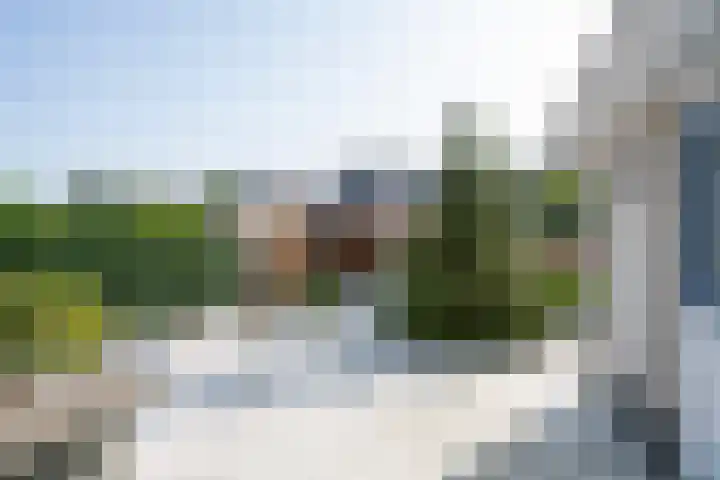 Standerdmolen 68 Papendrecht thumbnail 34