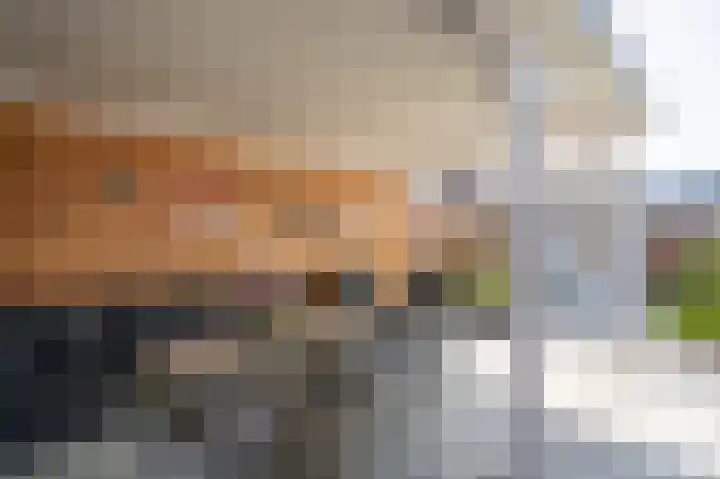 Standerdmolen 68 Papendrecht thumbnail 37