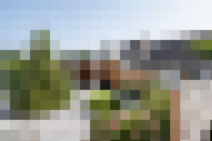 Standerdmolen 68 Papendrecht thumbnail 39