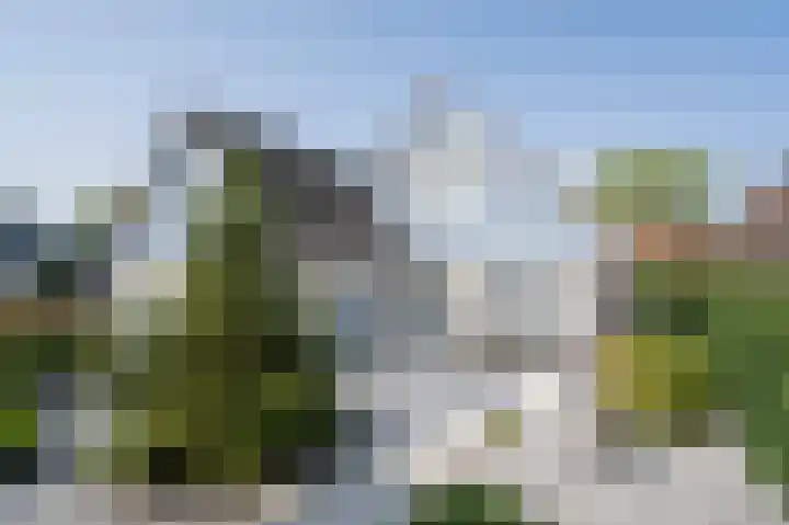 Standerdmolen 68 Papendrecht thumbnail 4