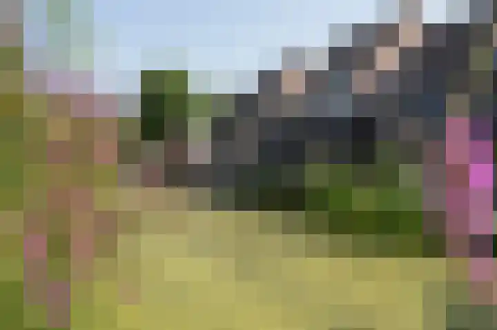 Standerdmolen 68 Papendrecht thumbnail 41