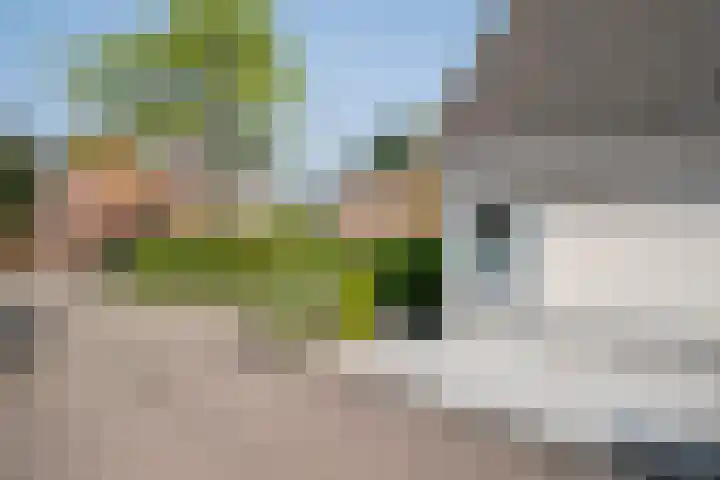 Standerdmolen 68 Papendrecht thumbnail 42