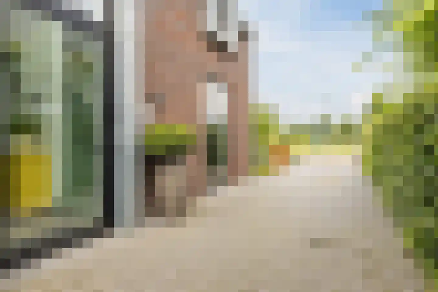 Standerdmolen 7 Berkel-Enschot thumbnail 46