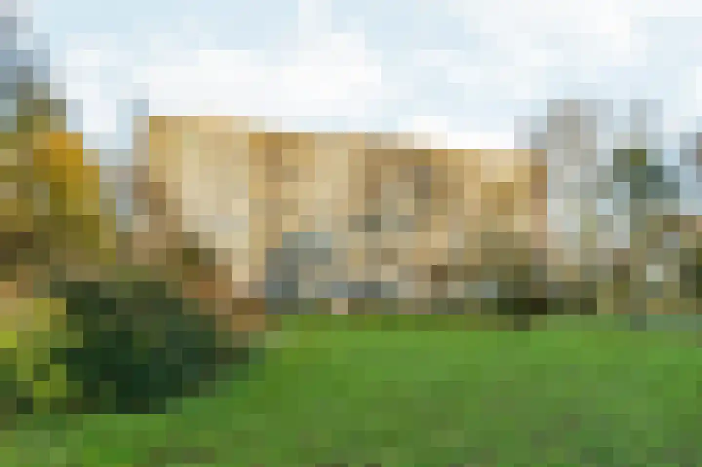 Standerdmolen 70 Amsterdam thumbnail 31