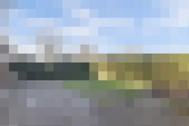 Standerdmolen 76 Barendrecht thumbnail 21