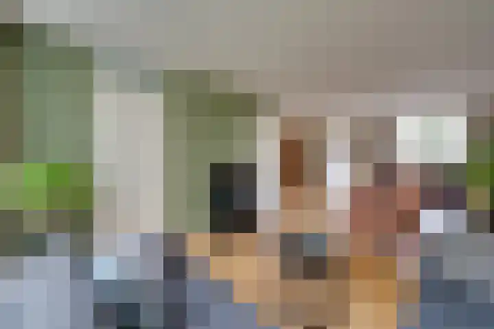 Standerdmolen 76 Edam thumbnail 16