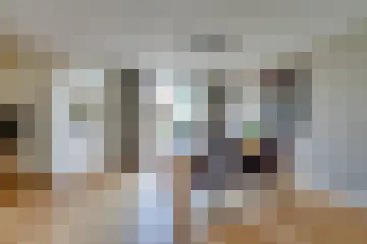 Standerdmolen 76 Edam thumbnail 17