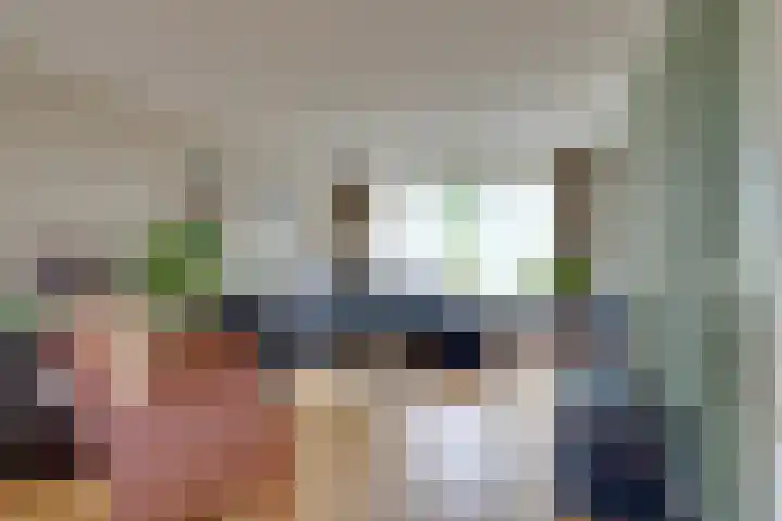 Standerdmolen 76 Edam thumbnail 18