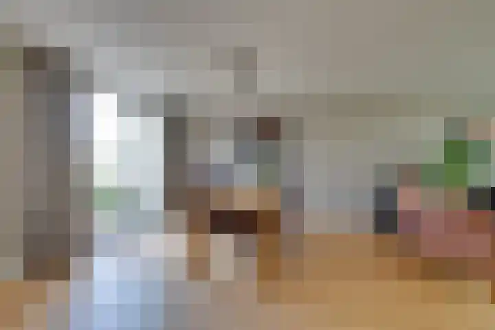 Standerdmolen 76 Edam thumbnail 20
